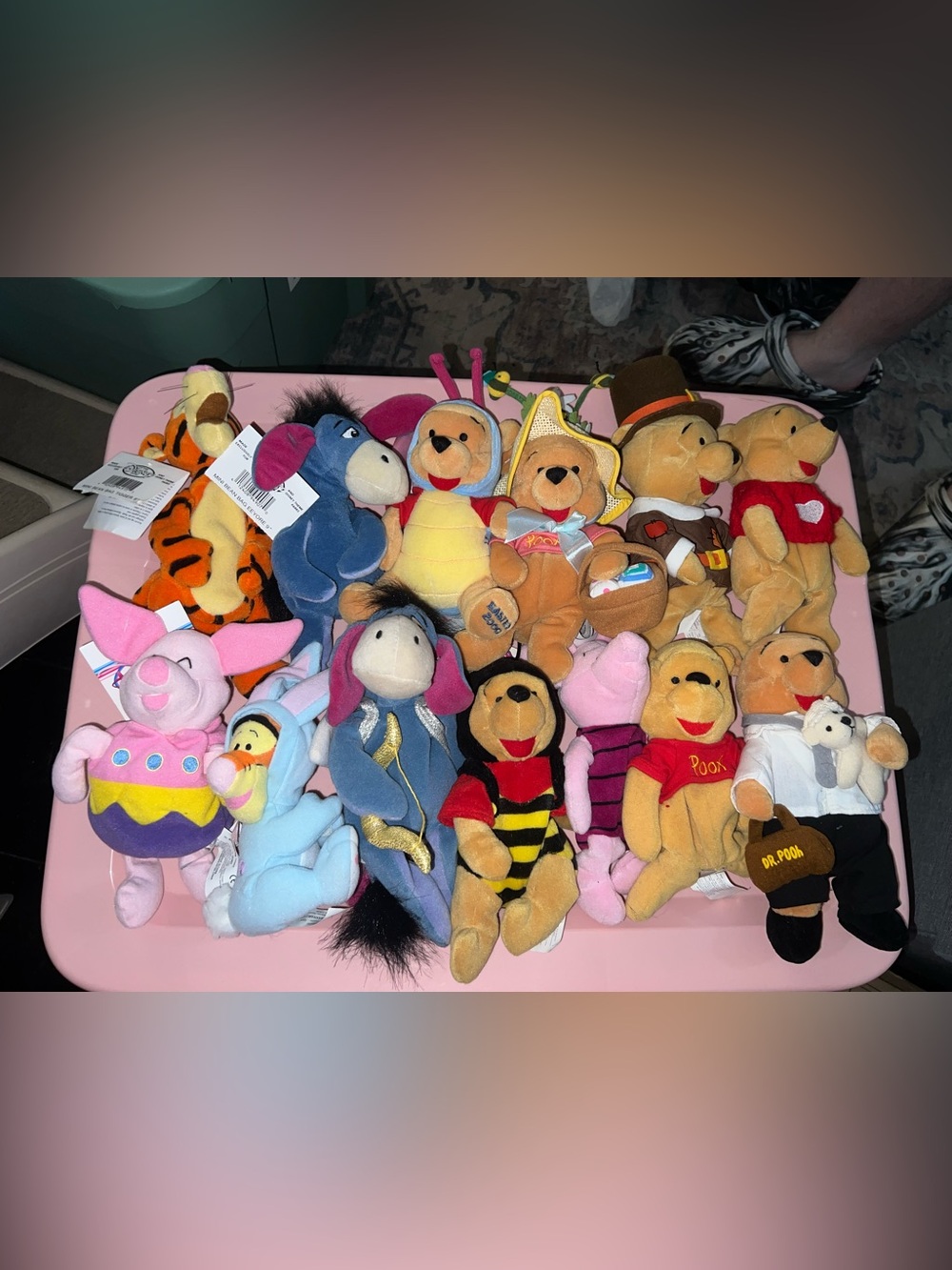 Disney Winnie the Pooh Assorted Plush Characters